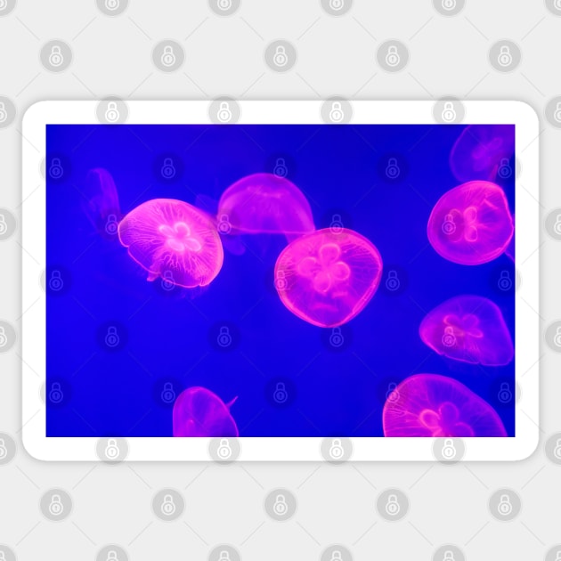 Luminescent Jellyfish Sticker by Pop Cult Store